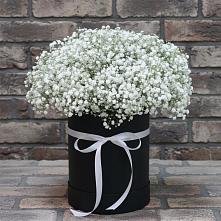 Композиция коробка гипсофил #REPLACE_PRED# Островской Цветочная композиция из Гипсофила в шляпной коробке #REPLACE_PRED# Островской